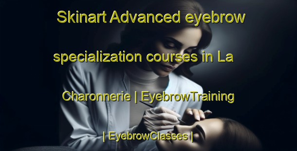Skinart Advanced eyebrow specialization courses in La Charonnerie | EyebrowTraining | EyebrowClasses | SkinartTraining-France